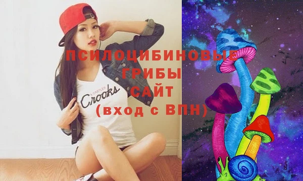 твердый Алексин