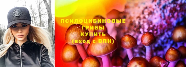 твердый Алексин