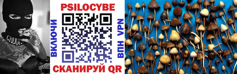 Галлюциногенные грибы Cubensis  OMG ссылка  Беслан 